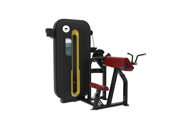 二头三头一体机